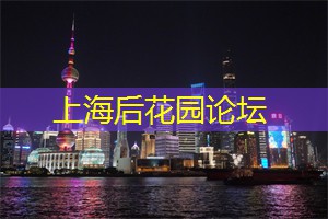 爱上海：当代年轻人的恋爱现状