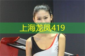 上海新茶工作室：上海新茶工作室：探寻城市中隐藏的品茶文化宝藏！