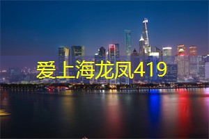 上海新茶工作室：上海新茶工作室：为你呈现茶艺文化的瑰丽盛宴！