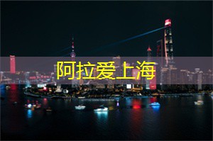 上海品茶网：地铁换乘：上海生活的便捷